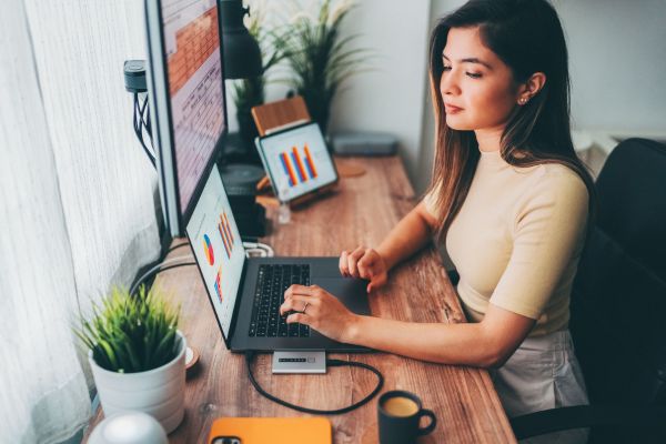 virtual assistant for data entry