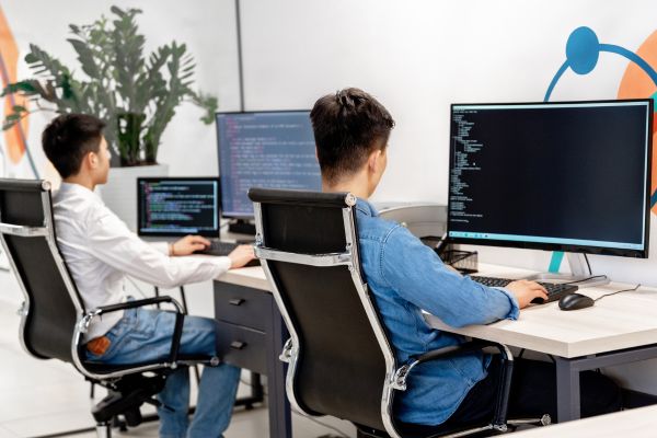 Mid-Level Web Developers