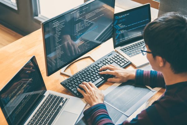 Senior Web Developers