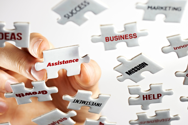 executive virtual assistant (2)